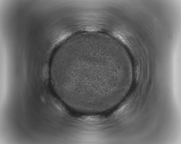 X0000087060303200705021222