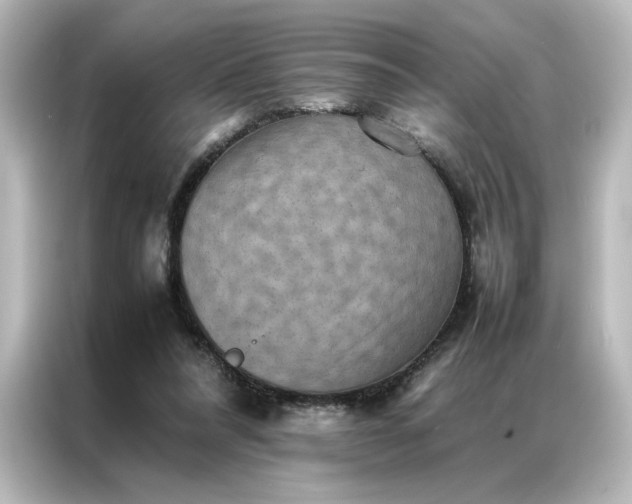 X0000087060304200705021222