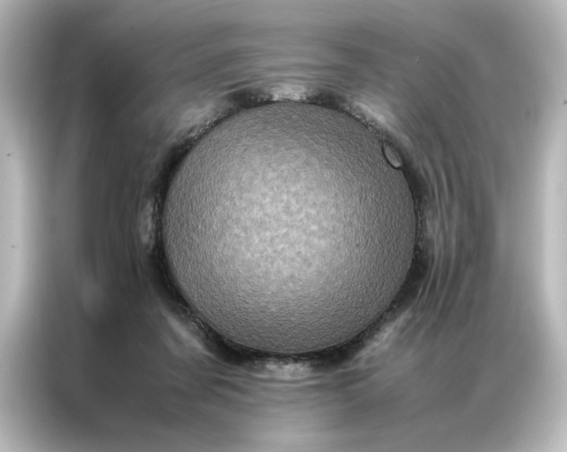 X0000087060311200705021222