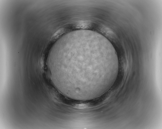 X0000087060312200705021222