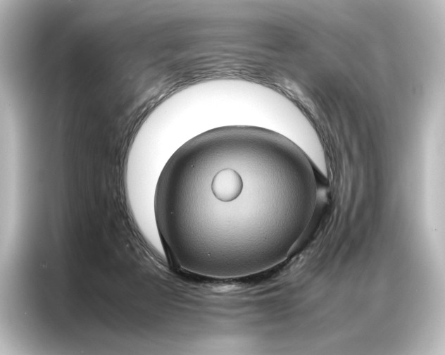 X0000087060313200705021222