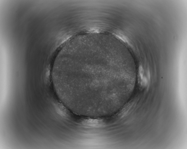 X0000087060314200705021222