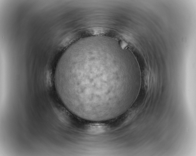 X0000087060316200705021222