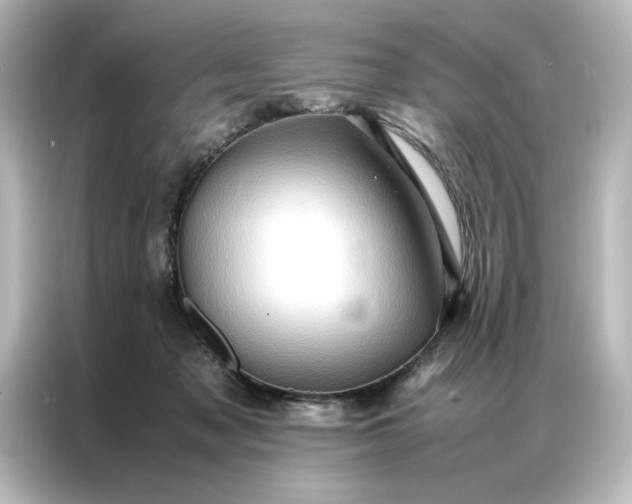 X0000087060317200705021222