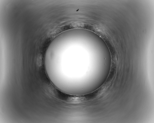 X0000087060323200705021222