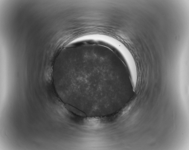 X0000087060325200705021222