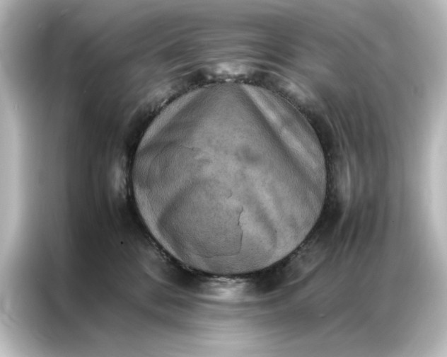 X0000087060328200705021222