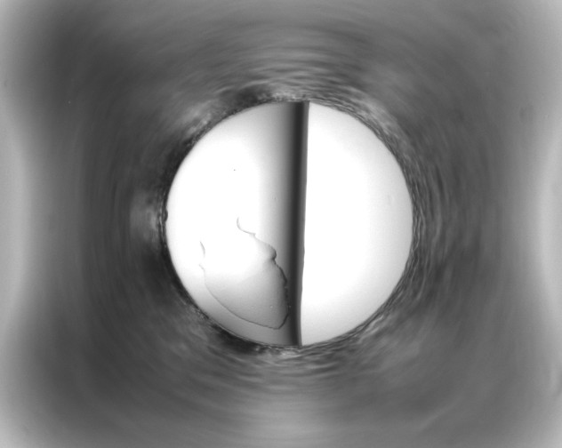 X0000087060329200705021222