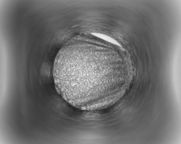 X0000087060331200705021222