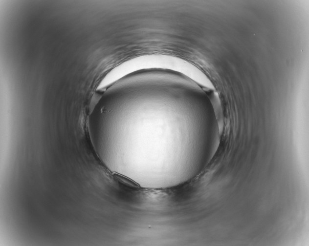 X0000087060333200705021222