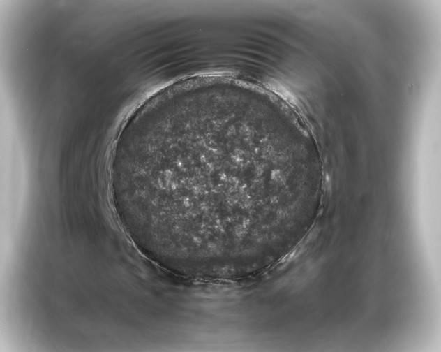 X0000087060337200705021221