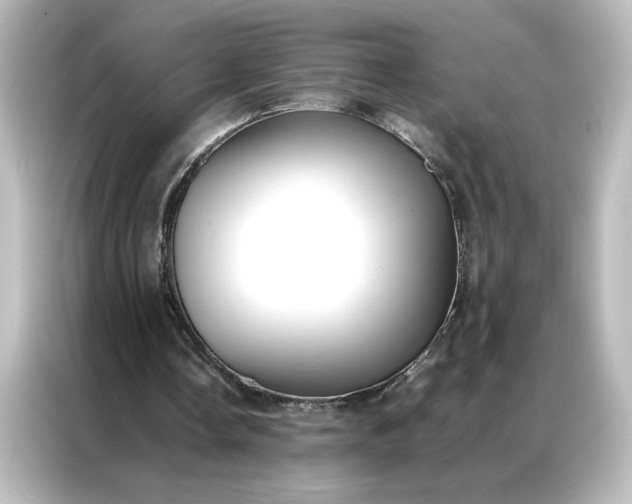 X0000087060338200705021221