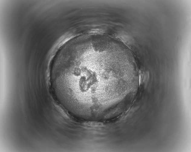 X0000087060339200705021221