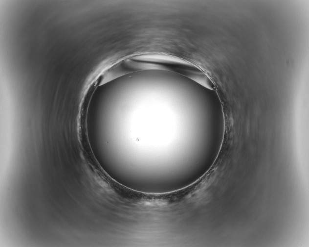 X0000087060340200705021221