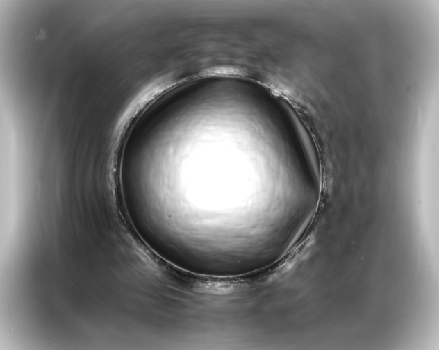 X0000087060341200705021221