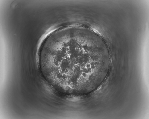 X0000087060343200705021221