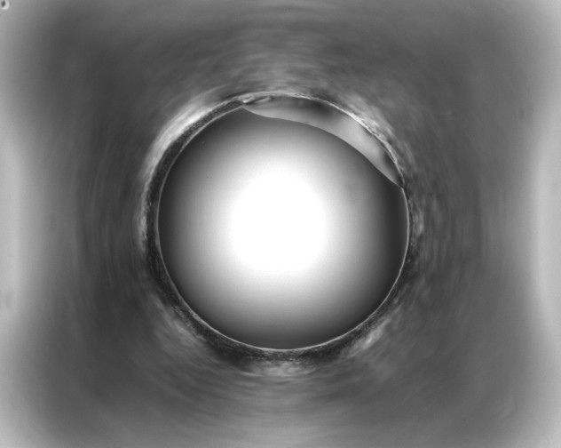 X0000087060344200705021221