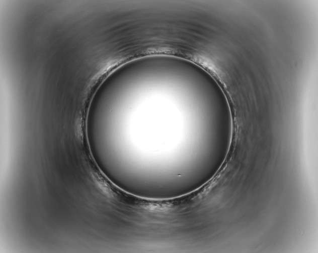 X0000087060345200705021221