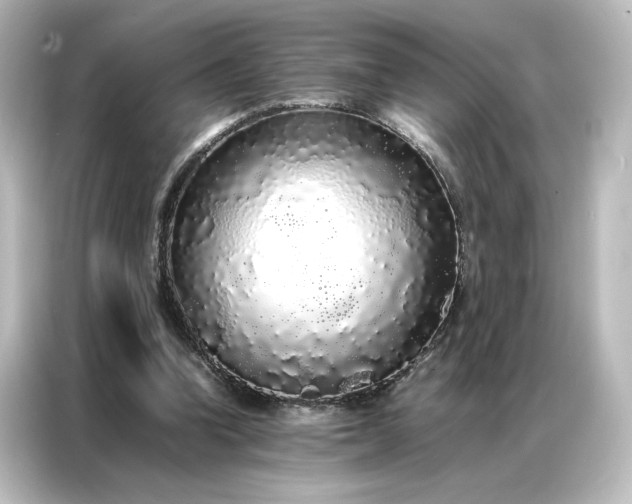 X0000087060346200705021221