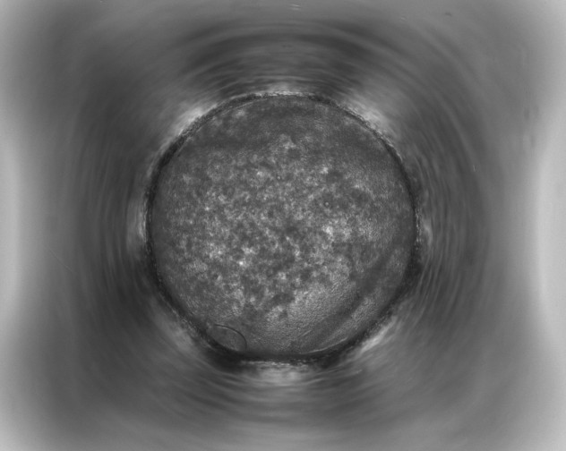 X0000087060347200705021221