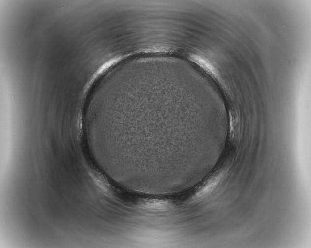 X0000087060348200705021221