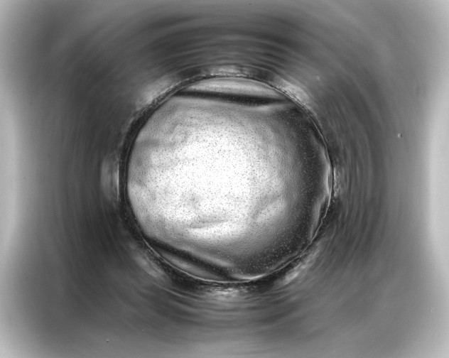 X0000087060349200705021221