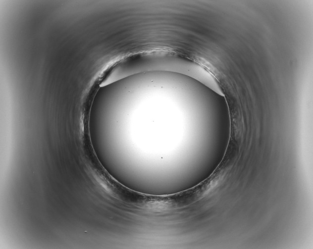 X0000087060350200705021221