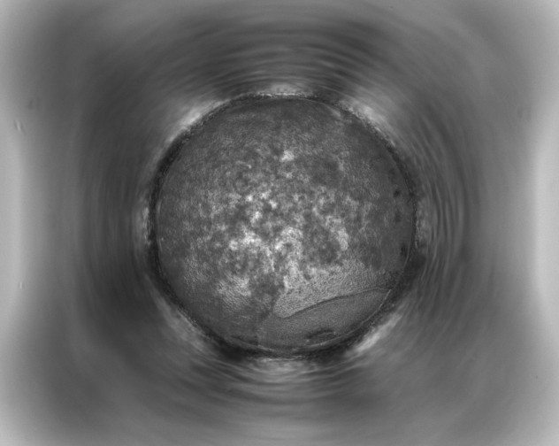 X0000087060351200705021221