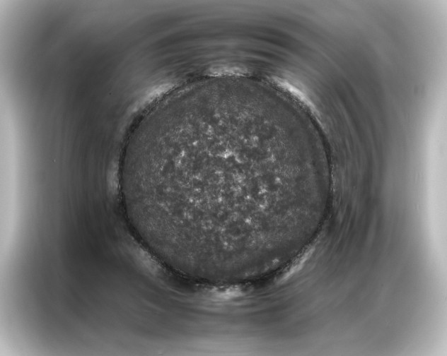 X0000087060353200705021221