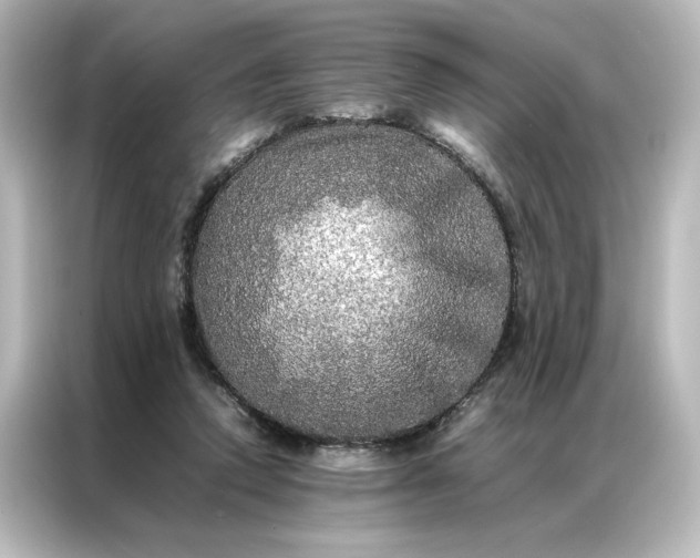 X0000087060354200705021221