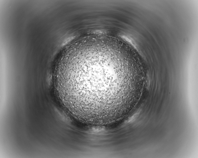 X0000087060355200705021221