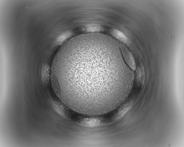 X0000087060356200705021221