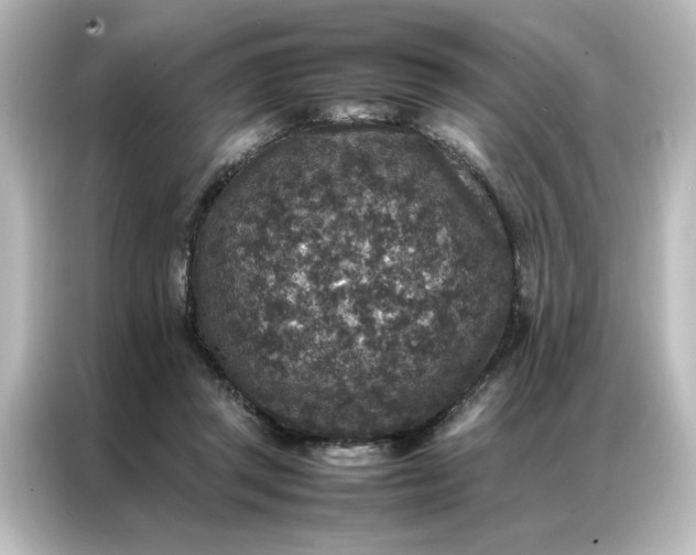 X0000087060357200705021221