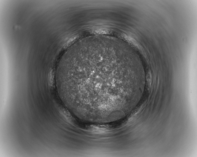 X0000087060359200705021221