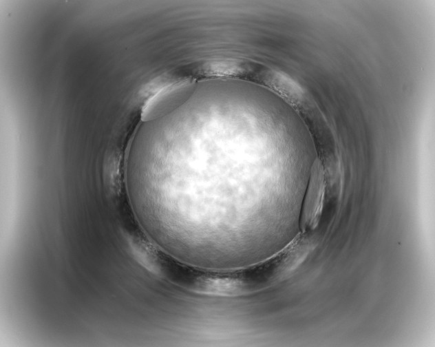 X0000087060360200705021221