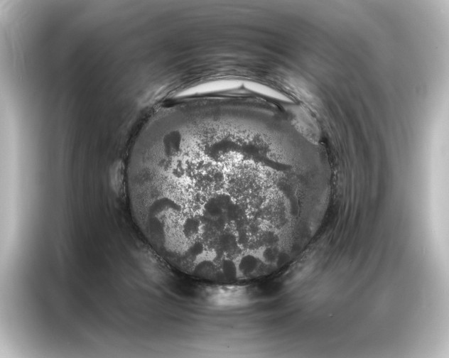 X0000087060361200705021221