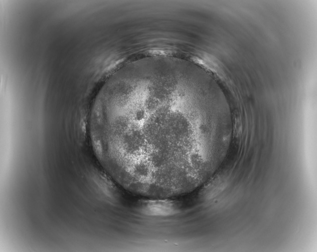 X0000087060363200705021221