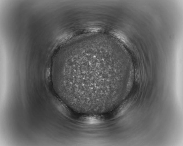 X0000087060365200705021221