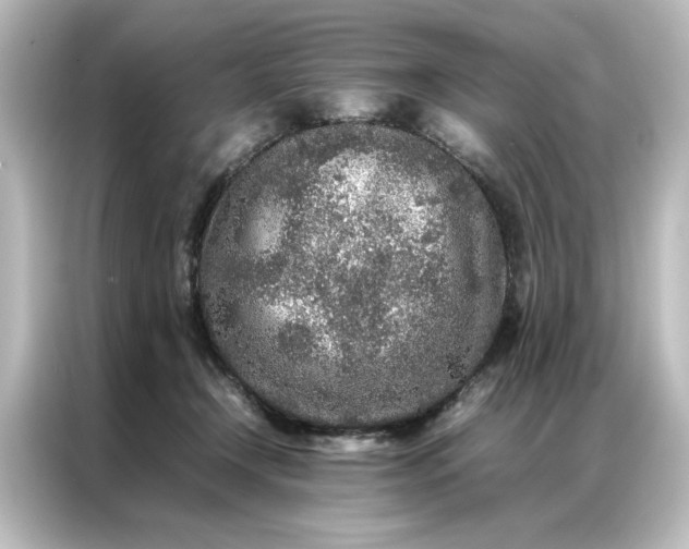 X0000087060366200705021221