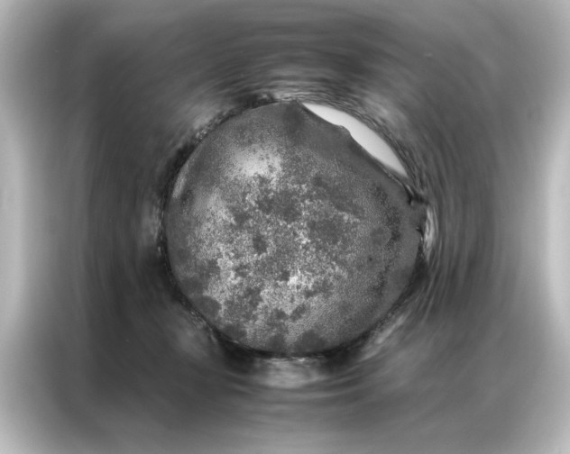 X0000087060367200705021221