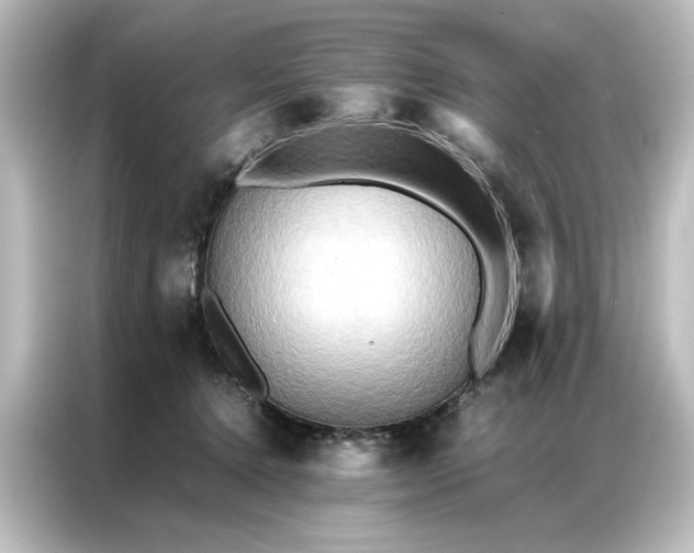 X0000087060368200705021221