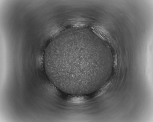 X0000087060369200705021221