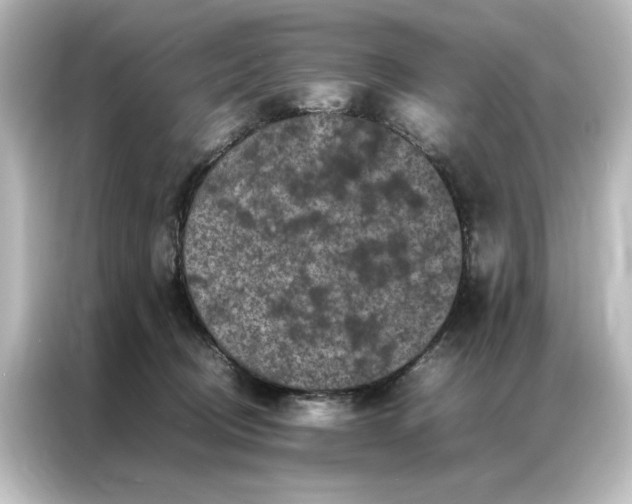 X0000087060370200705021221