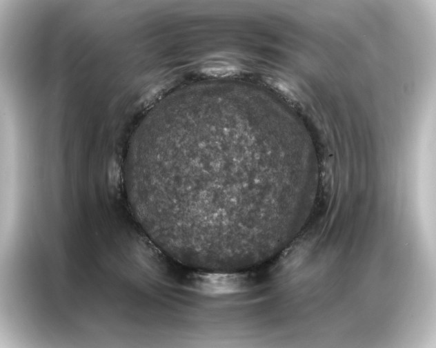 X0000087060371200705021221