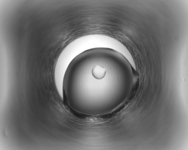 X0000087060372200705021221