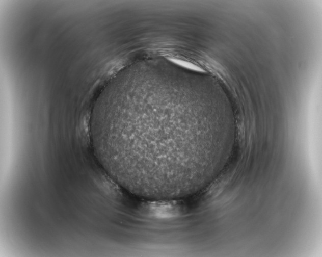 X0000087060373200705021221