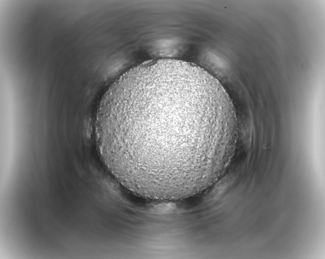 X0000087060374200705021221