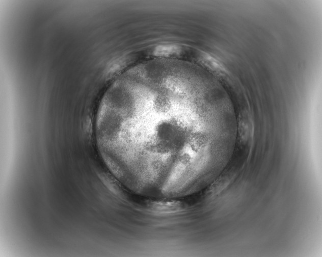 X0000087060375200705021221