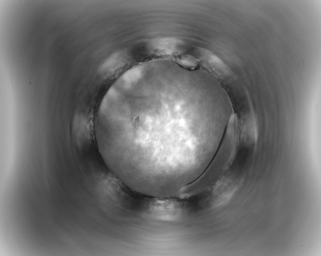 X0000087060376200705021221