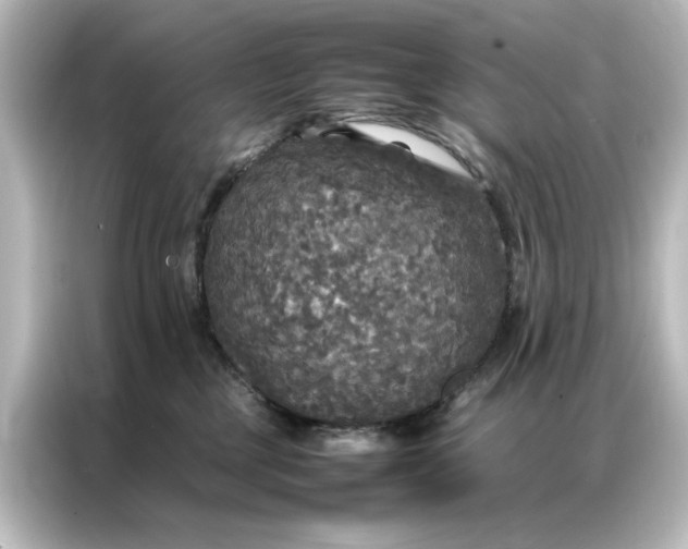 X0000087060377200705021222